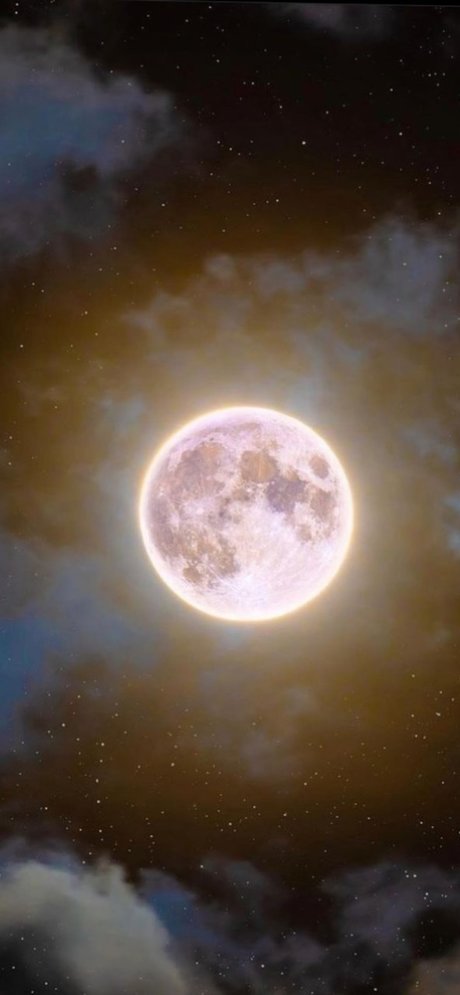 nastyia onlyfans public photos