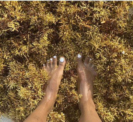 kysersaiso onlyfans leakd