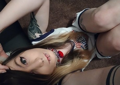 silentfoxowo Profile pic