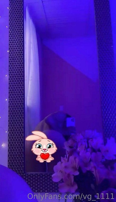 Vg 1111 Profile pic