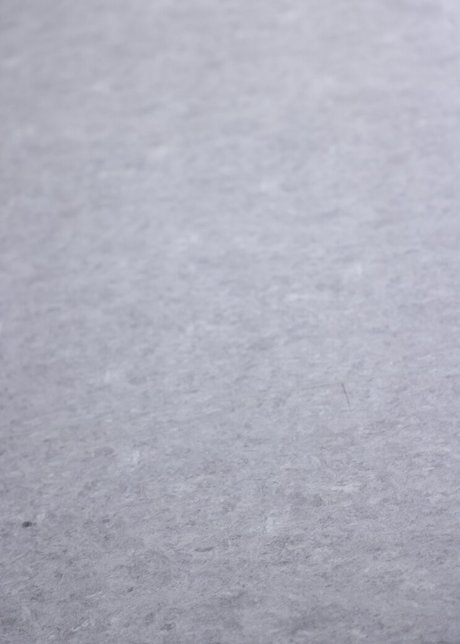 Shion Utsunomiya Profile pic