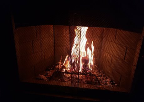 eladarling onlyfans nude content