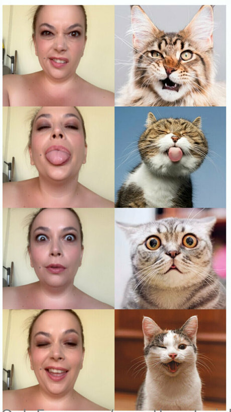 sweetheartmiabbw onlyfans sex