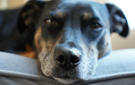 gutfuzz nude onlyfans