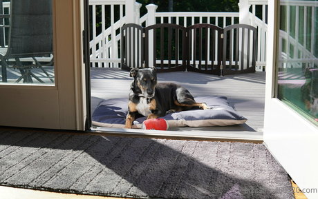 gutfuzz only fans free