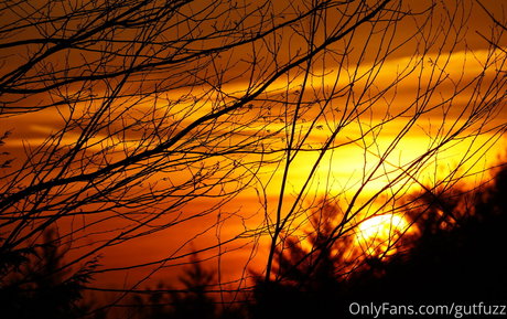 gutfuzz onlyfans leaked