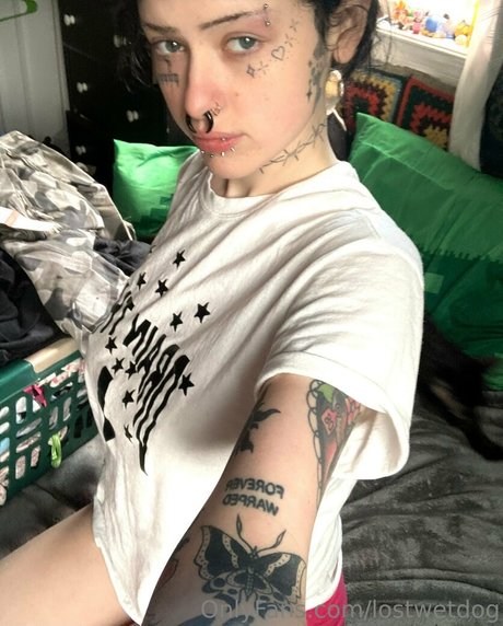 Lostwetdog onlyfans porno