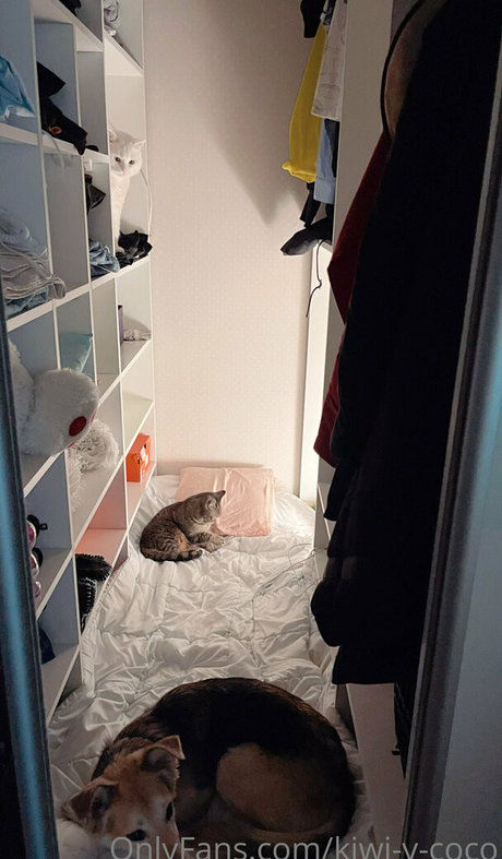 kiwi y coco onlyfans leak sex