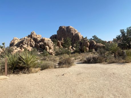 Shorty LL onlyfans model photos