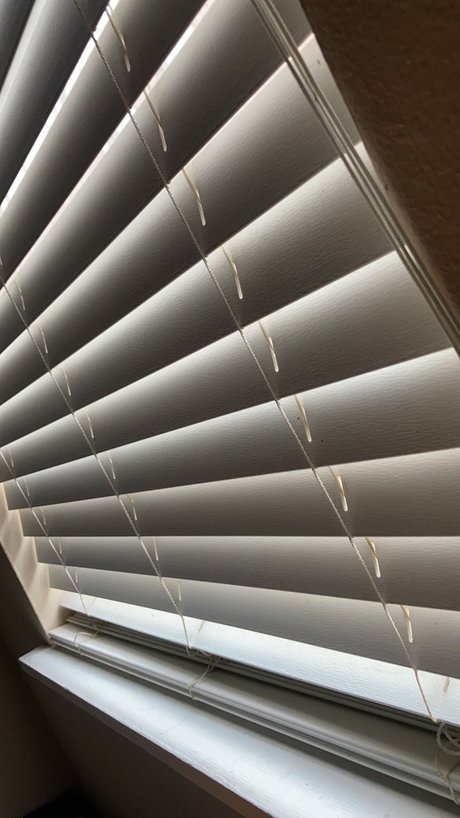 SSBBW Sugar leaked only fans porn