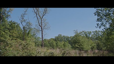 oatmilk69 onlyfans leaks.