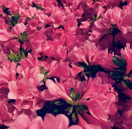 exhibitchinnyc nude only fans