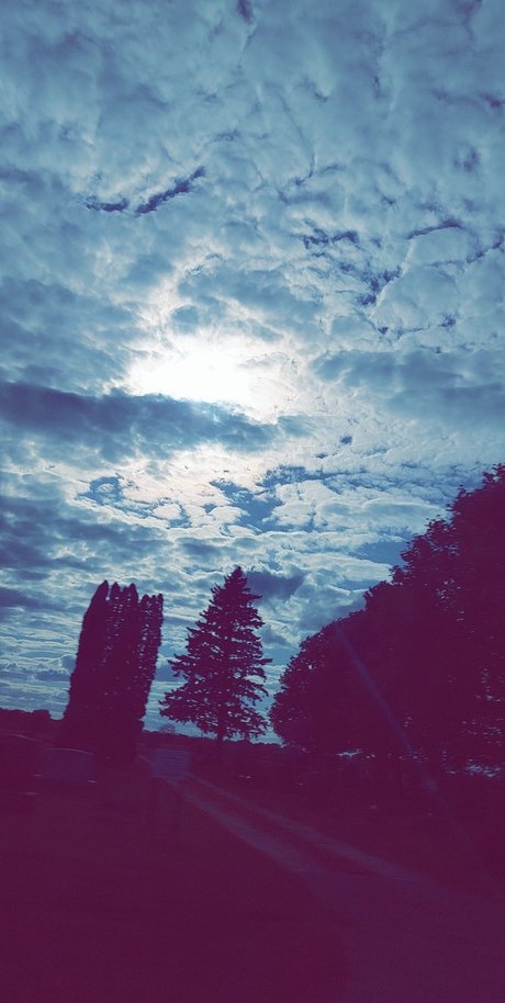 Nutty professoar ass onlyfans