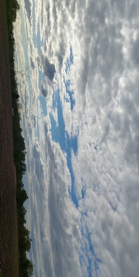 Nutty professoar only fans pic