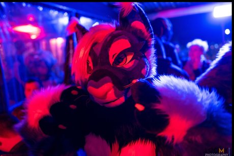 _Miss Nui onlyfans creator