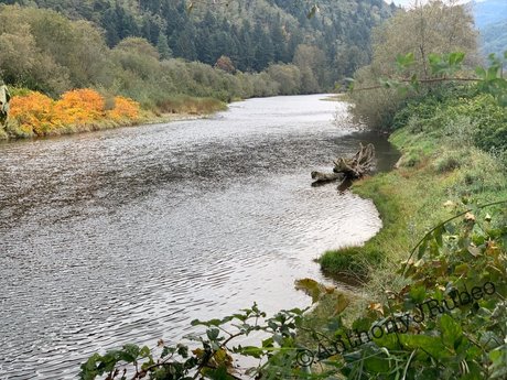 Northwest Cowboy Casanova leaked onlyfans xxx