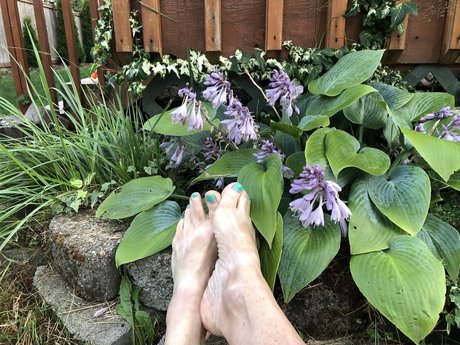 No Pussi Foot n Around onlyfans model images