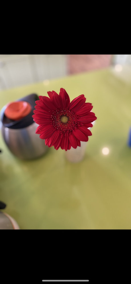 Nola Symoan onlyfans nude