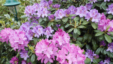 Patrick Schroeter onlyfans leaks.