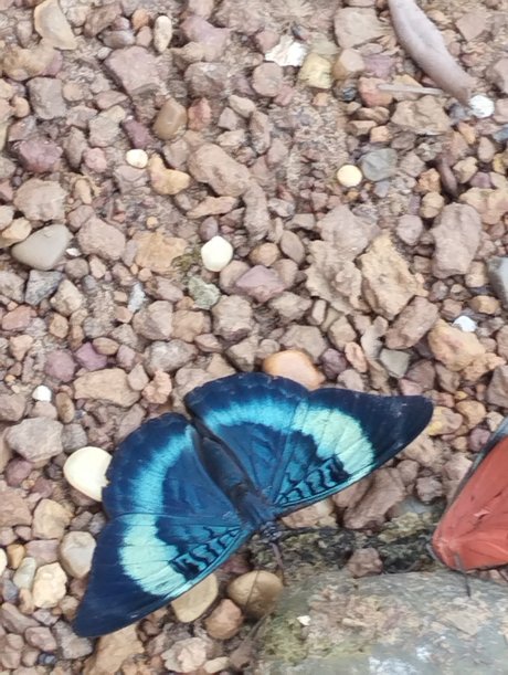 Niyin onlyfans sex leaks