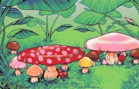 Niko Miner onlyfans leaka