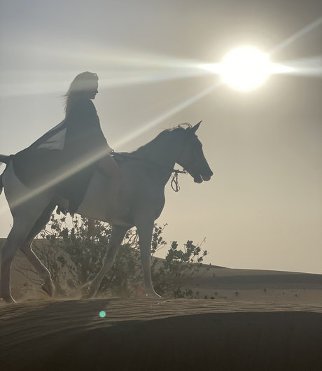 PeepingTomsQuest nude on onlyfans