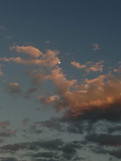 Petite Carnade onlyfans strip