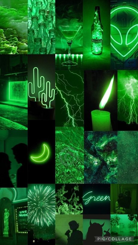 ShegoPDX_ onlyfans leajs