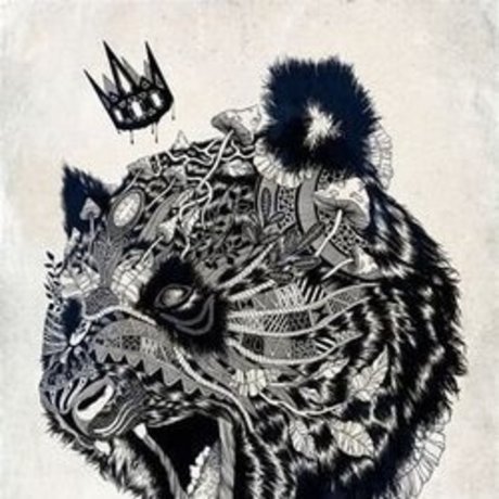 The1KingPanda onlyfans leaks