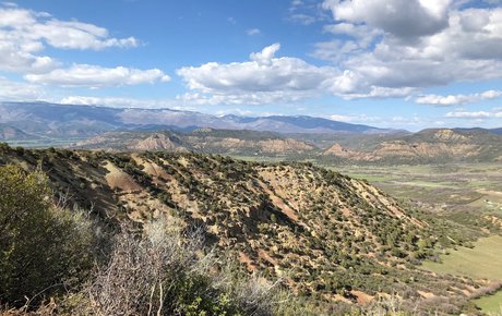 Outdoor Bull only fans leaks