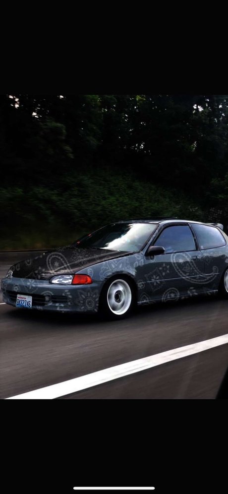 DaddyO onlyfans creator