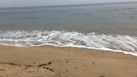 Odd onlyfans leak new