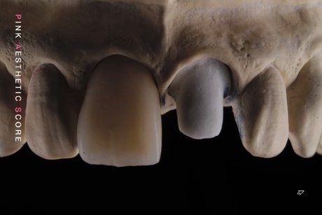 OnlyDentistry nude onlyfans porn