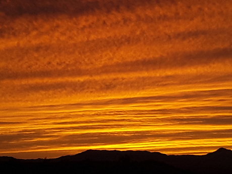 Onlycameltoes leaked onlyfans porn