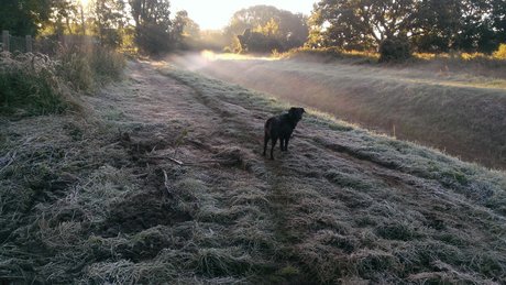 onkelbert onlyfans leake