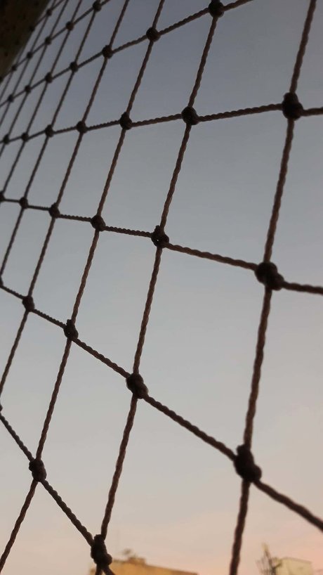 onerom onlyfans porn leaks