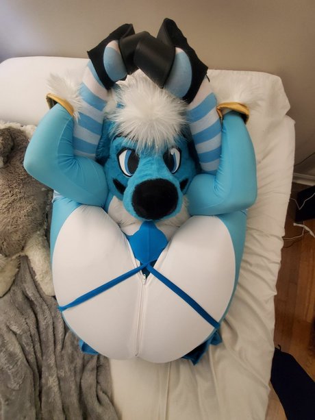 Fizzy potato Husky only fans content