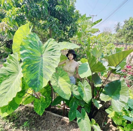 Por Punnada leaked onlyfans