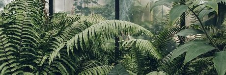 Pixie FREE_ new onlyfans leak