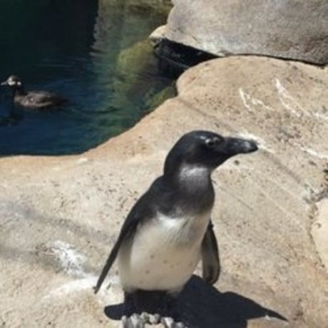 whosthere nudes onlyfans