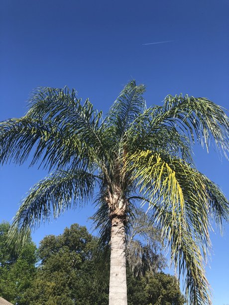 Pink Pocket only fans leak porn