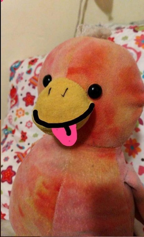 The Pido en onlyfans