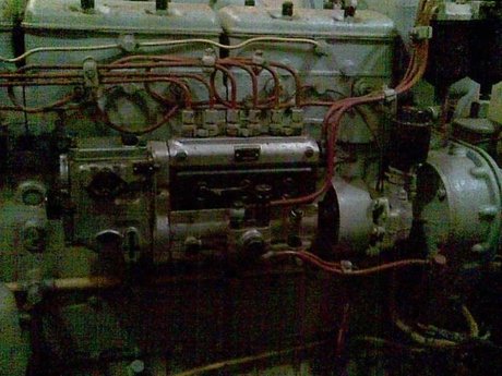 Stranger onlyfans leaks