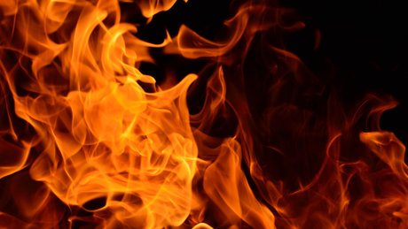 Phoebe Flame onlyfans naked