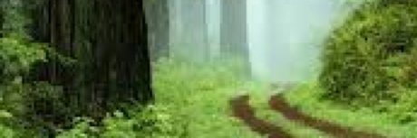 u35508985 is on onlyfans