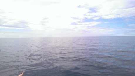 Petr Vert free onlyfans