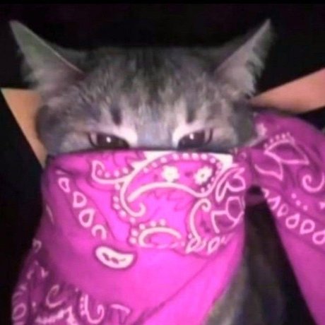 Sneja onlyfans leaked dirtyship