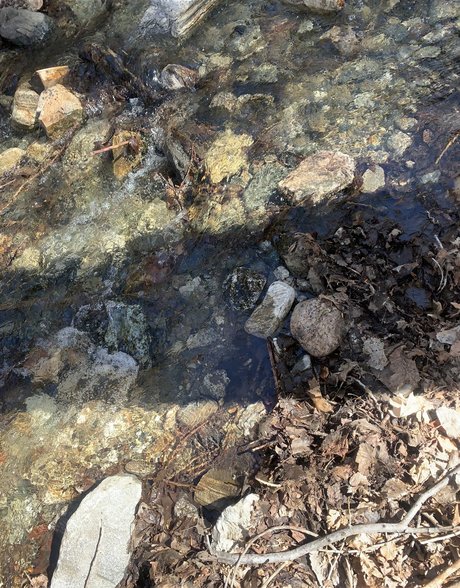 Queen of Curves onlyfans leaj