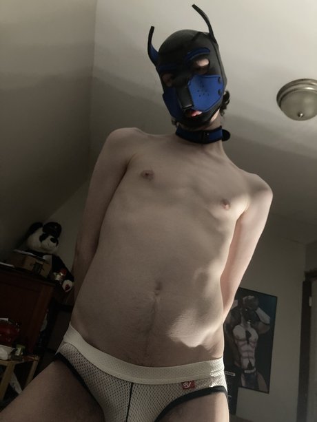 Archie the Pup nudes onlyfans