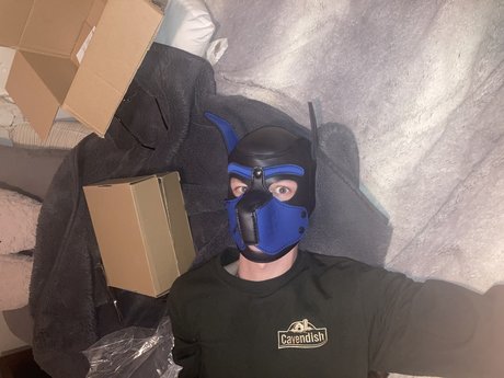 Archie the Pup onlyfans sextape leak